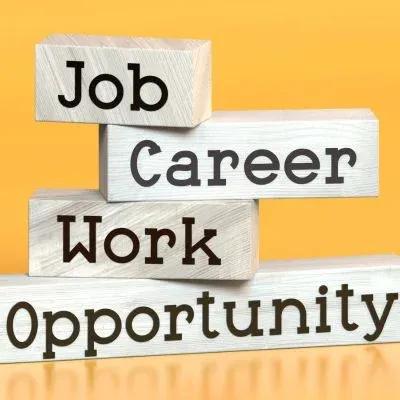 Amity Online master's in Human Relations